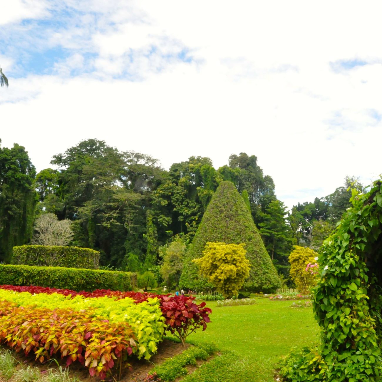 Королевский Ботанический сад Перадения Шри-Ланка